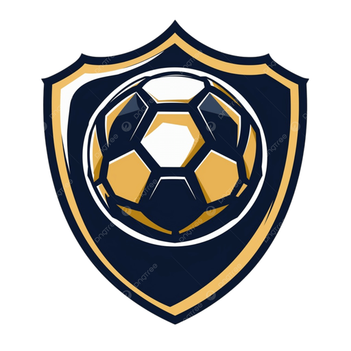 星空综合 Logo